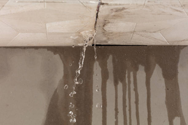 Professional Water Damage Repair technician working in Staples, TX